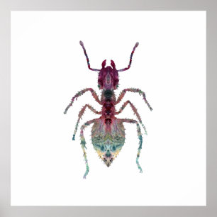 Poster Ant Art