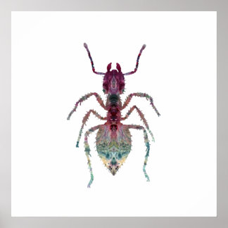 Poster Ant Art
