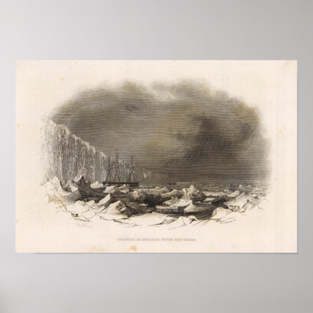 Pôster Antártica 4 (Frente)