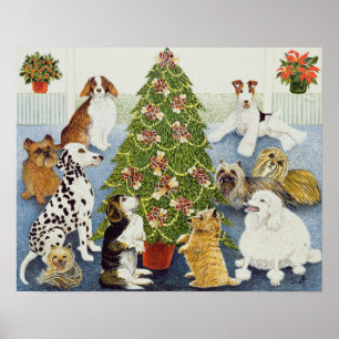 Poster Antecipação