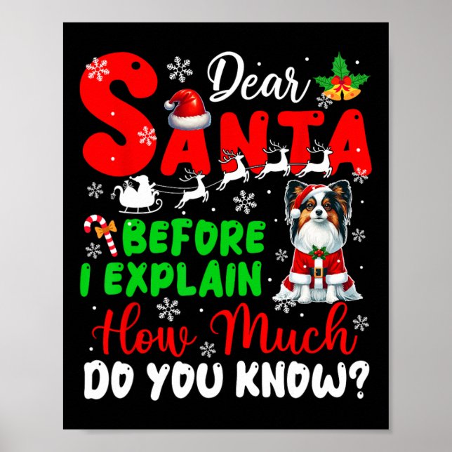 Poster Antes De Explicar O Quanto Conhece Xmas Papillon O (Frente)