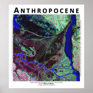 Pôster Anthropocene V - Delta de Parana River, Argentina