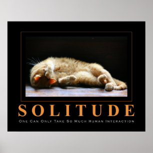 Poster Anti-Inspirador da fotografia do gato da