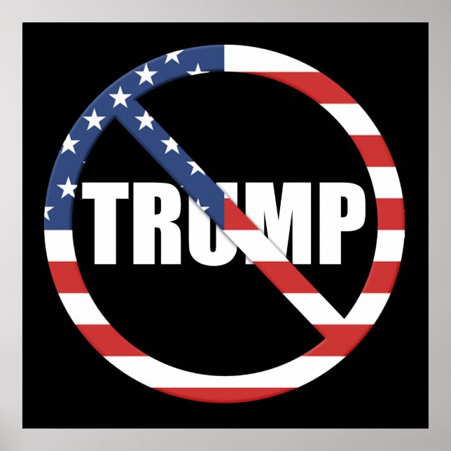 Poster Anti-Trump Pro-Democracia (Frente)