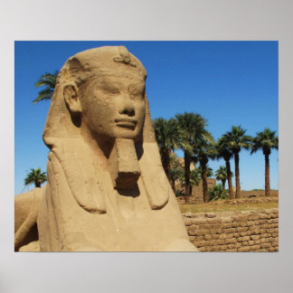 Pôster Antiga estátua esfinge egípcia luxor Egito