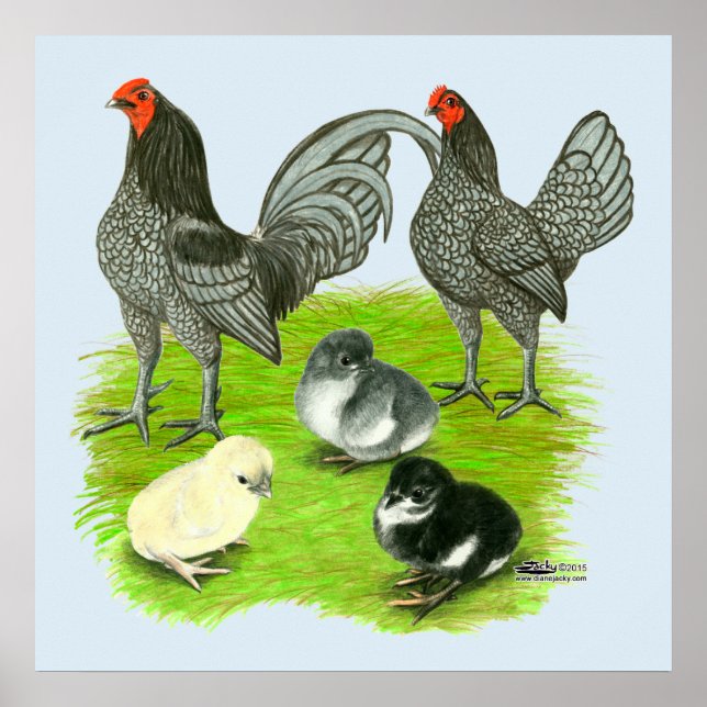 Pôster Antiga família de jogos azuis (Frente)