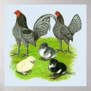 Pôster Antiga família de jogos azuis em inglês