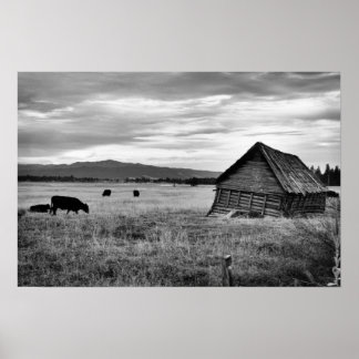 Pôster Antiga Fazenda