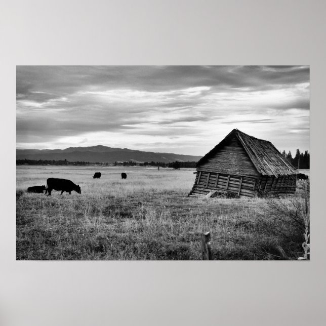 Pôster Antiga Fazenda (Frente)