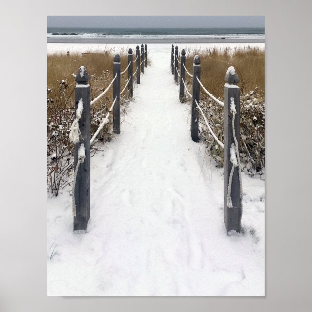 Poster antiga praia de orquídea caminhada de inverno (Frente)