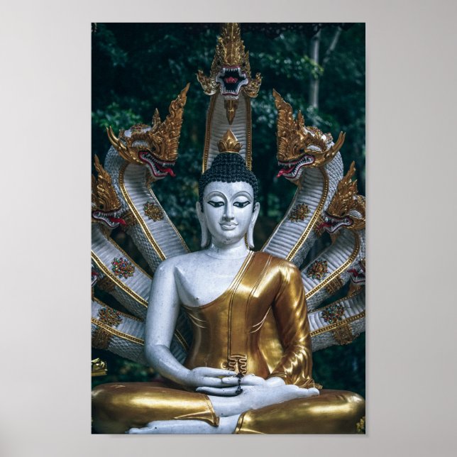 poster antigo buddha (Frente)