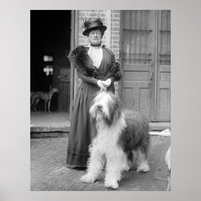 Poster Antigo Cão Inglês, 1915 (Frente)
