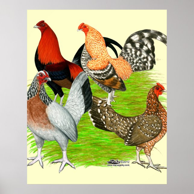 Pôster Antigo Quarteto de Jogo Inglês (Frente)