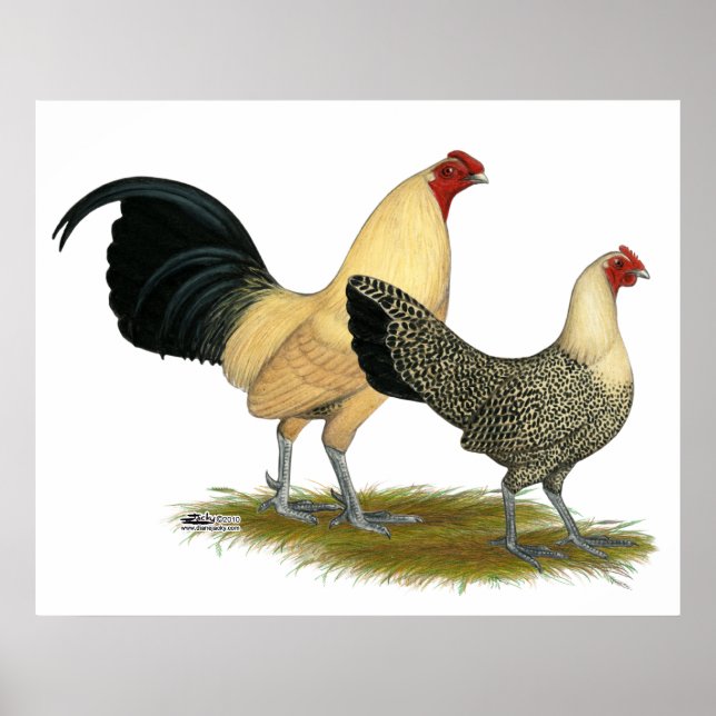 Pôster Antigos Copos de Creme Inglês (Frente)