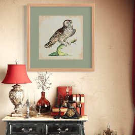 Poster Antiguidade Natural Da Coruja Italiana Que Engrena