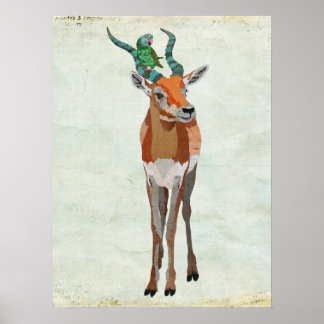 Pôster Antílope e Arte do Papagaio