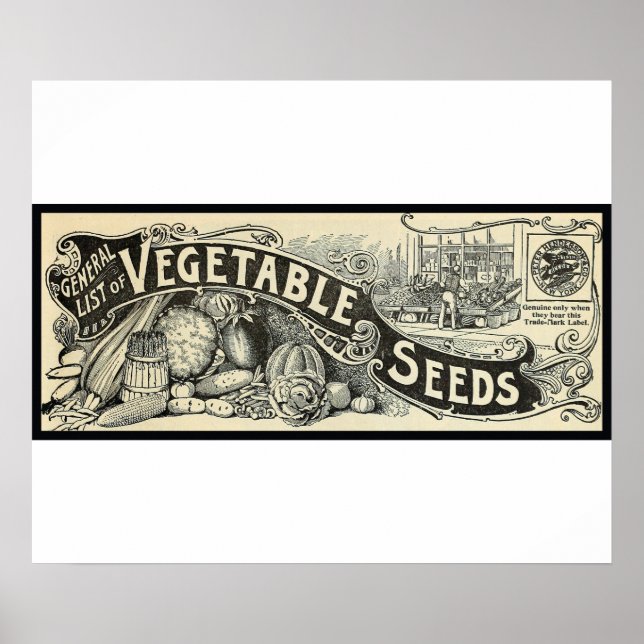Poster Antique 1894 Vegetable Seeds Sign (Frente)