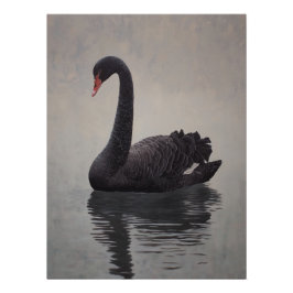 Pôster Antique Black Swan Art Print