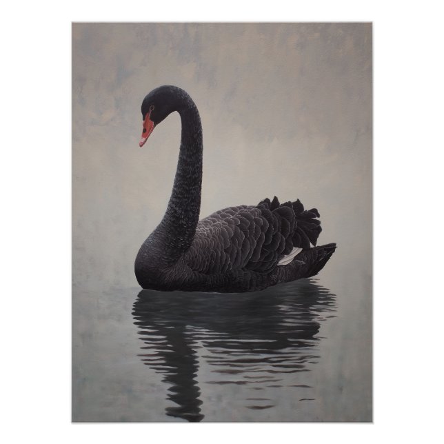Pôster Antique Black Swan Art Print (Frente)