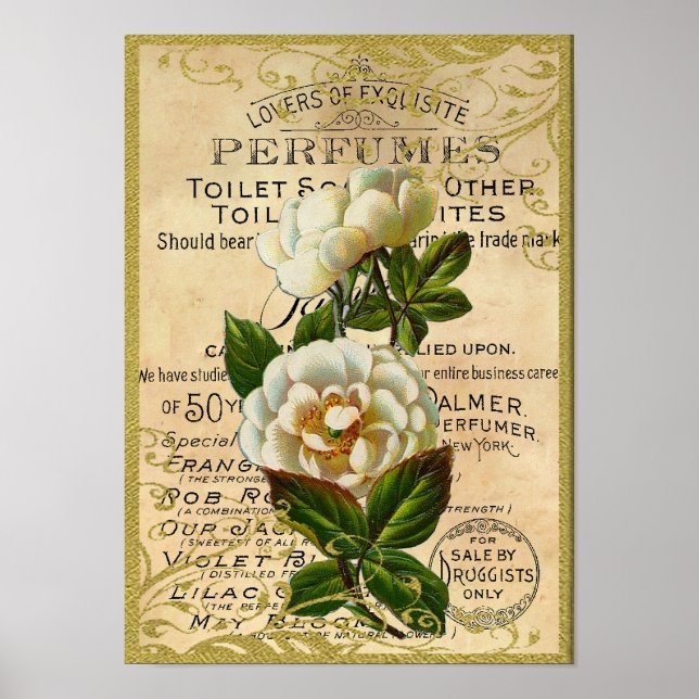 Poster Antique Roses Perfume (Frente)