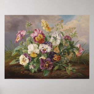 Poster Anton Mollis Vintage Pansy