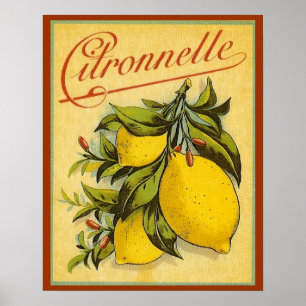Pôster Anúncio de Citronnelle do vintage