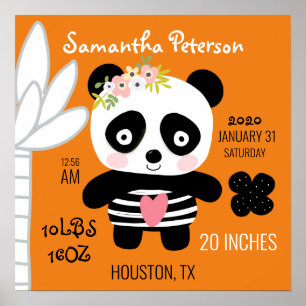 Poster Anúncio de Nascimento de Panda Fofo