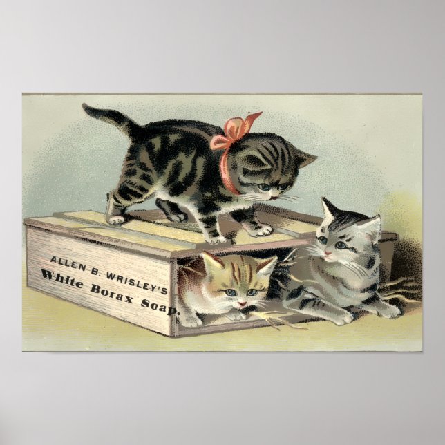 Poster Anúncio de Sabão com Gatinhos da Era Vitoriana Ant (Frente)