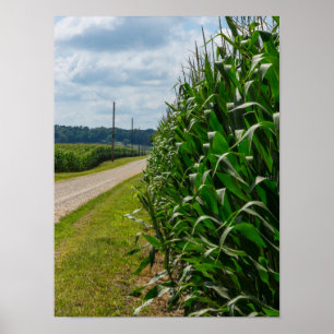 Poster Ao Lado De Um Campo De Milho