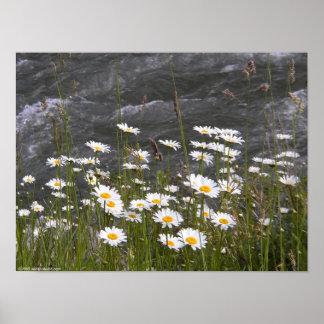 Pôster Ao longo da corrente