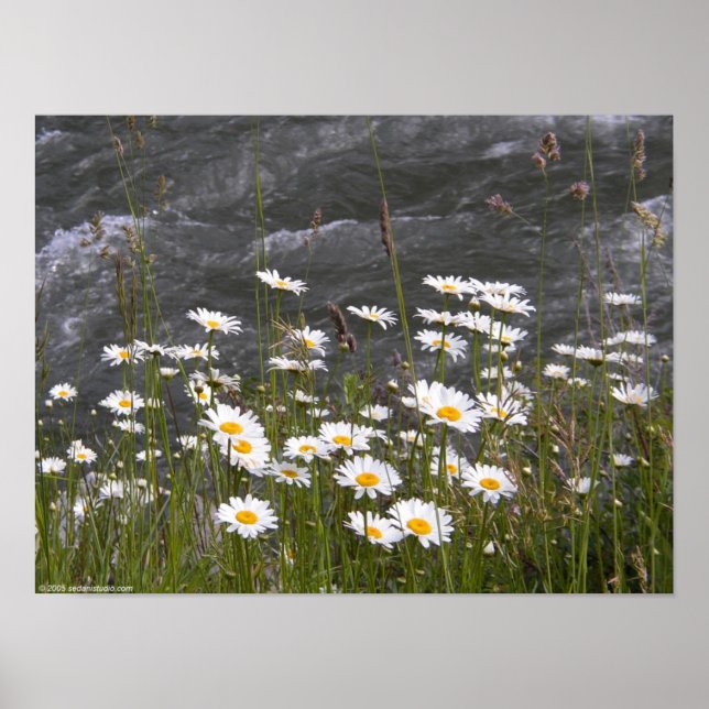 Pôster Ao longo da corrente (Frente)