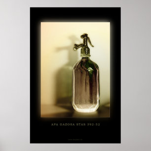 POSTER APA