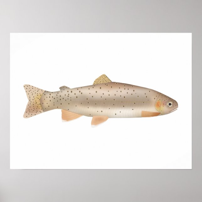 Poster Apache Trout (Frente)
