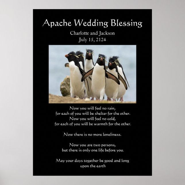 Pôster Apache Wedding Blasing Penguins (Frente)
