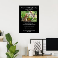 Apache Wedding Blessing Persian Cats Fighting