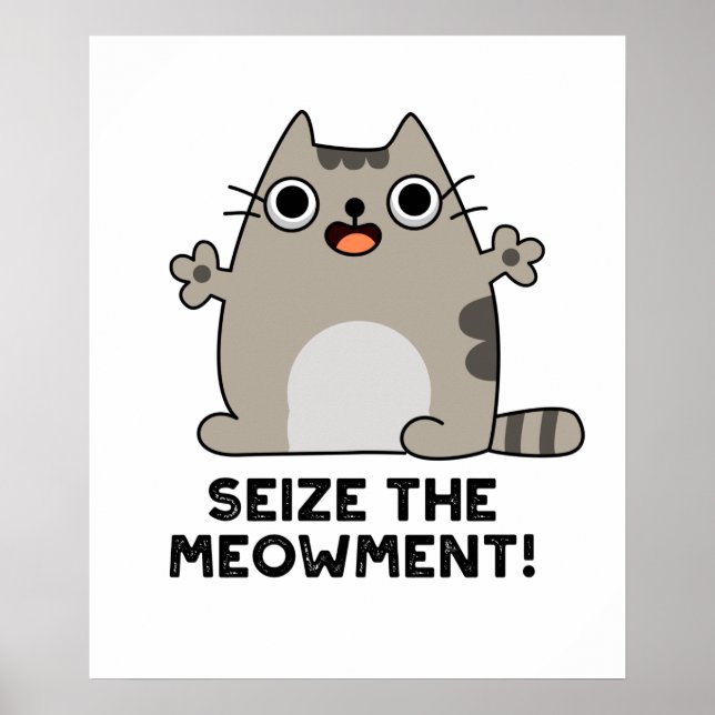 Poster Apanhar O Gato Positivo Engraçado De Meow (Frente)