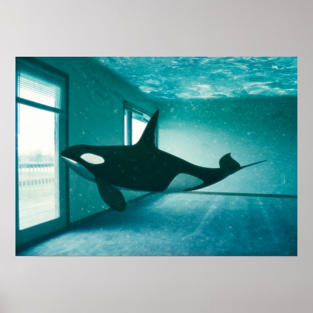 Pôster Apartamento Assassino (Frente)