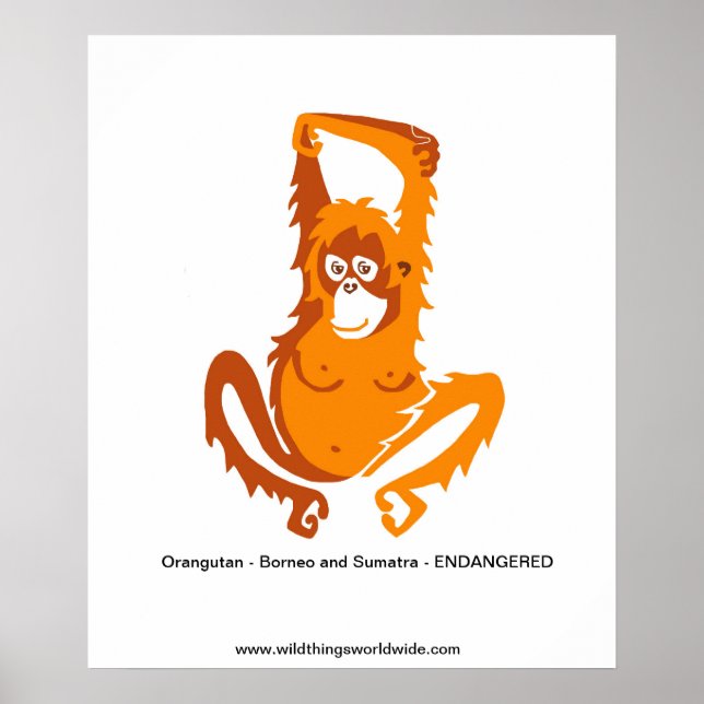 Poster Ape - ORANGUTAN - Animais ameaçados (Frente)