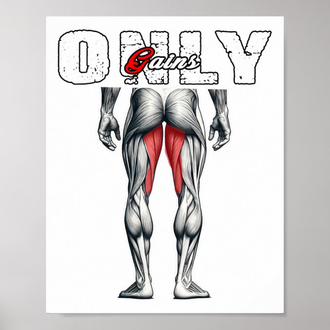 Poster Apenas ganha o ginásio de construção de bases (Frente)