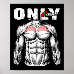 Poster Apenas ganha o Gym3 de construção de arquivos