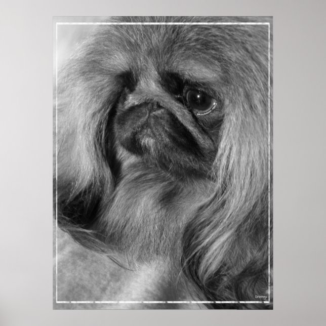 Pôster Apenas Jeroen (Frente)