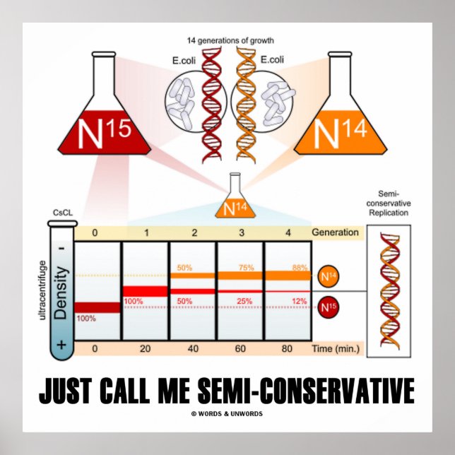 Poster Apenas Me Chame De Semi-Conservador (Replicação De (Frente)