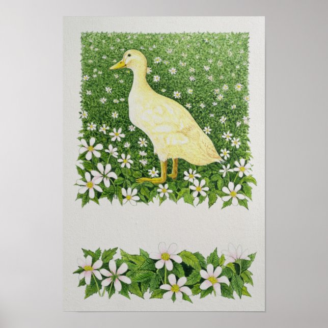 Pôster Apenas Olhando (Frente)