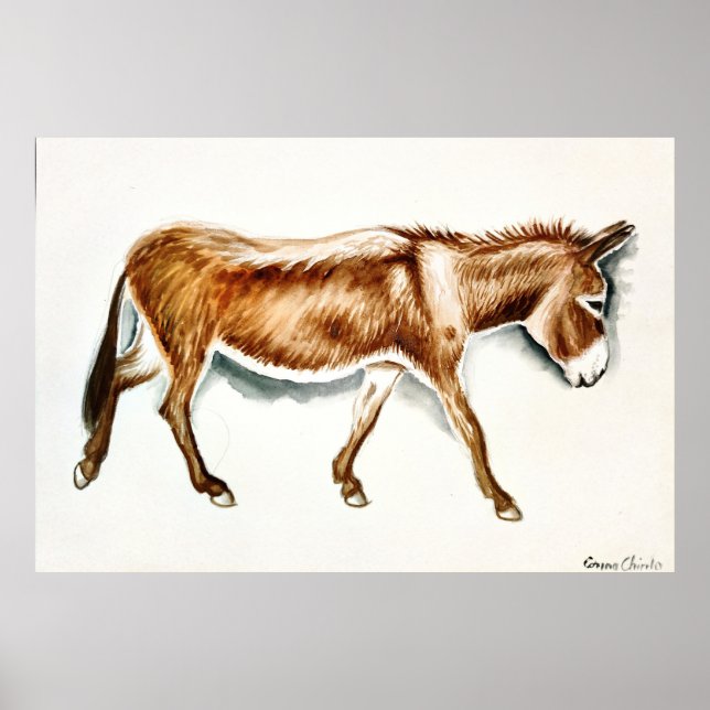 Poster Apenas um burro (Frente)