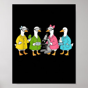 Poster Apenas um ganso bobo fazendo ciência