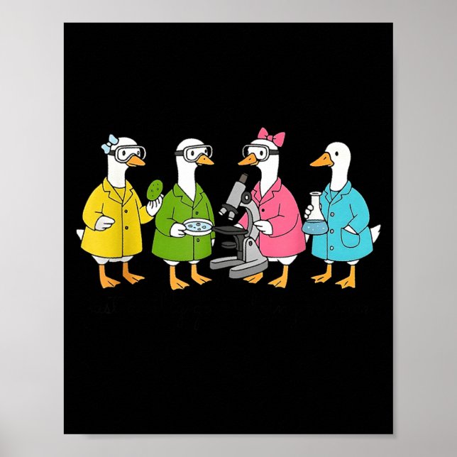 Poster Apenas um ganso bobo fazendo ciência  (Frente)