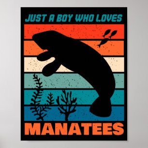 Poster Apenas Um Menino Que Ama Os Manatins - Retro Anima