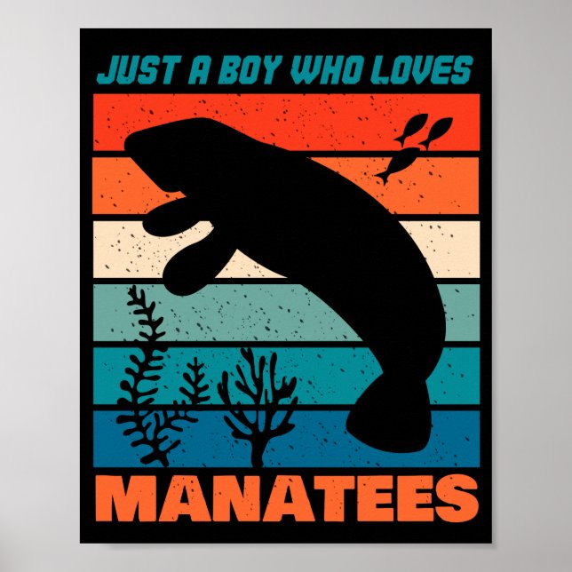 Poster Apenas Um Menino Que Ama Os Manatins - Retro Anima (Frente)