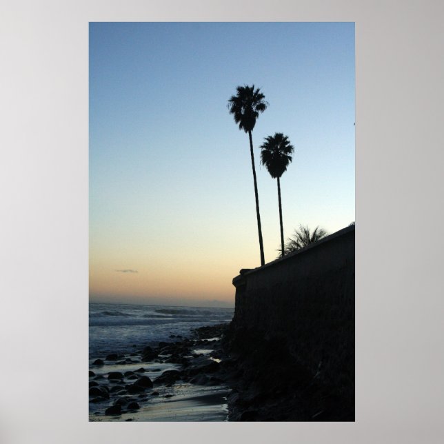 Poster apenas um par de palmeiras (Frente)