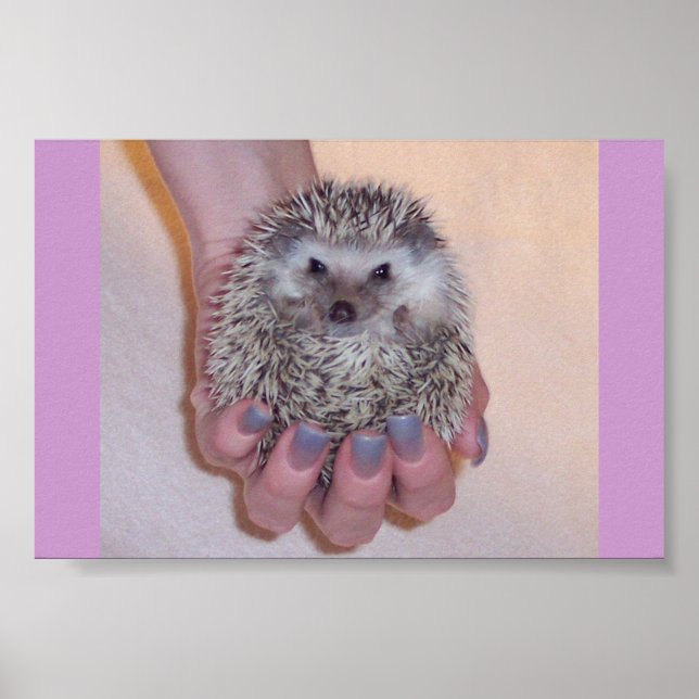 Poster Apenas um pequeno porco (Frente)